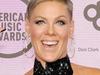 P!nk Summer Carnival tour: Pop star told daughter Willow she would quite  for family