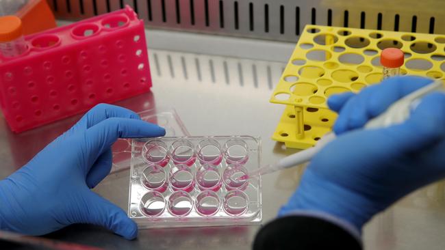 Professor Colin Pouton and PhD student Harry Al-Wassiti from Monash University's Institute of Pharmaceutical Sciences working on Vaccine culture that they will use to test on the Covid-19 virus. Picture: Stuart McEvoy