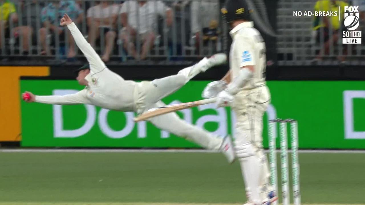 Steve Smith took a stunning catch to remove Kane Williamson.