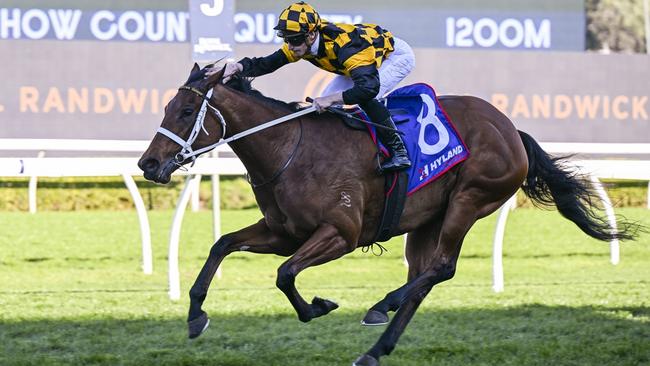 Dual Group 1-winner Joliestar. Picture: Bradley Photos