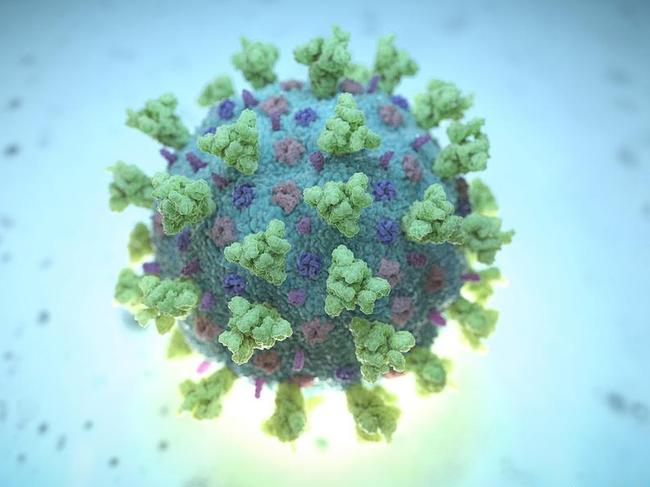 A computer image created by Nexu Science Communication together with Trinity College in Dublin, shows a model structurally representative of a betacoronavirus, linked to the coronavirus. Picture; Reuters.