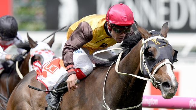 Main Stage can strengthen his grip on Derby favouritism. Picture: AAP