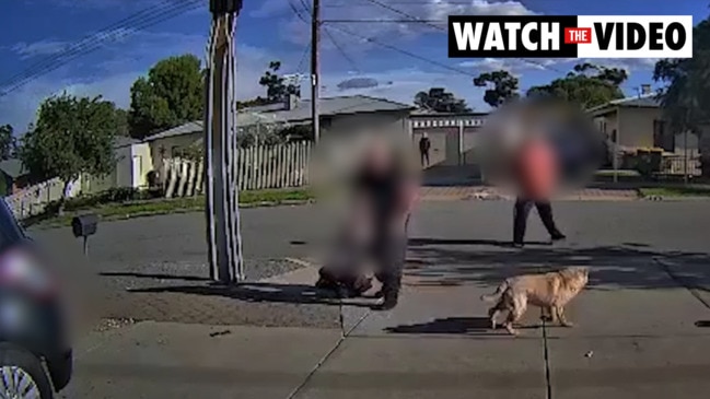 Moments after a vicious dog attack at Salisbury North caught on CCTV