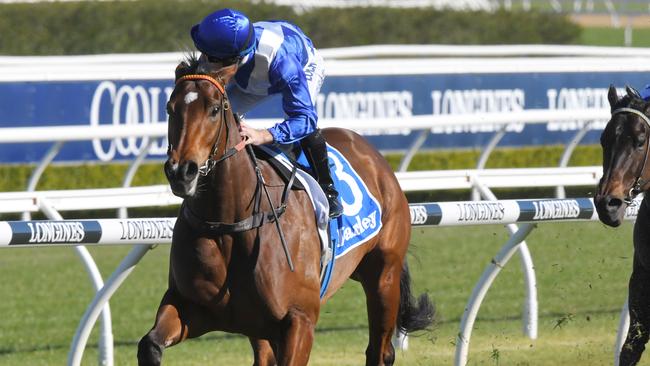 Anthony Cummings believes Libertini can cope with the physical demands of The Everest. Picture: AAP