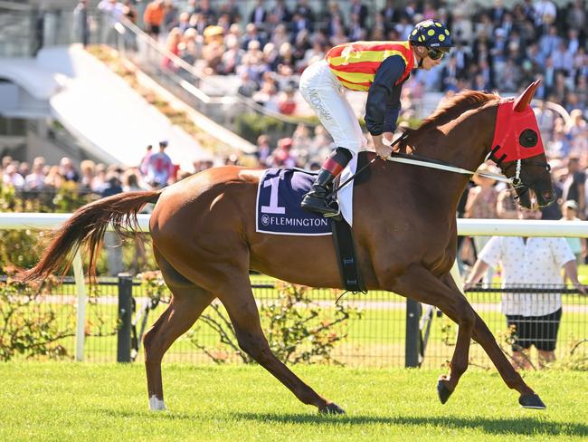 Nature Strip on the way to the barriers prior to the running of the Black Caviar Lightning at Flemington Racecourse on February 18, 2023 in Flemington, Australia. (Photo by Morgan Hancock/Racing Photos via Getty Images)