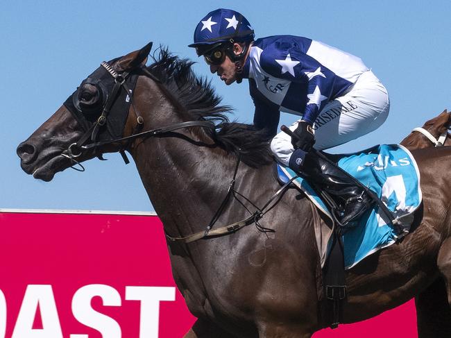 Jockey Jon Grisedale rode Tiomo to victory in the Class 1 Handicap (1800m) at the Gold Coast Turf Club on Saturday, March 21, 2020. Picture credit: Greg Irvine, Magic Millions.