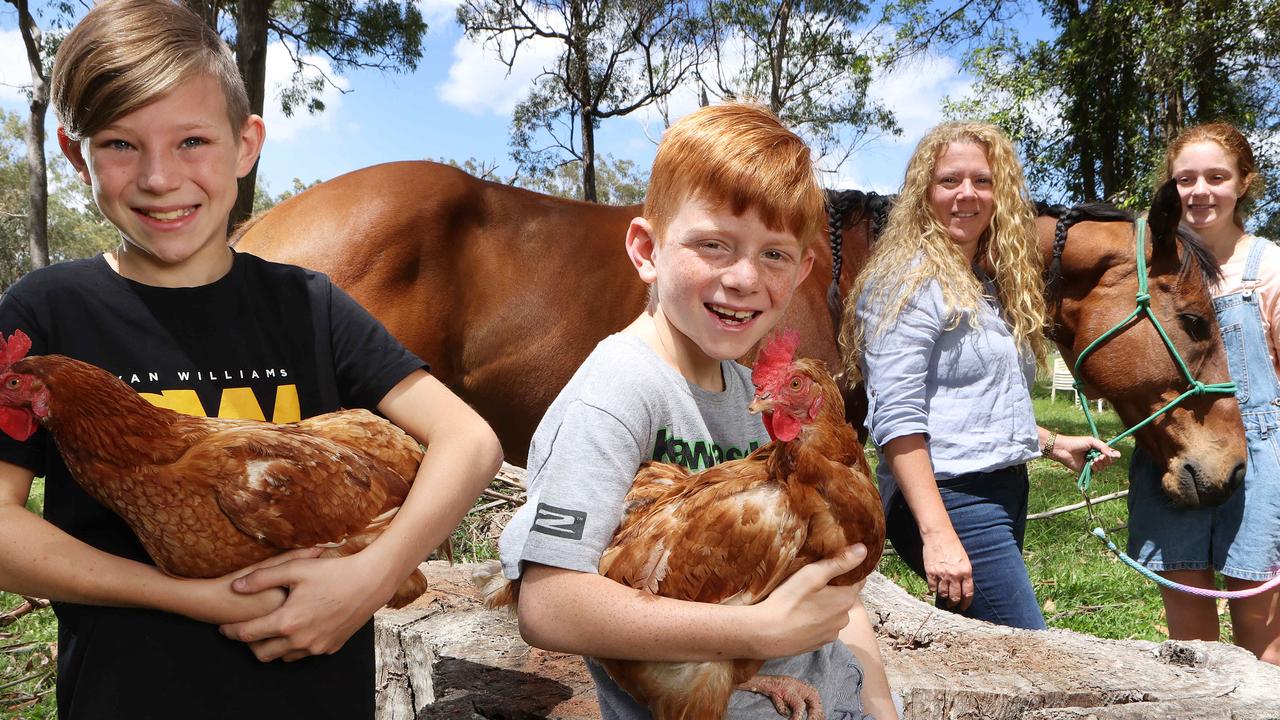 High School Attendance Rates In Australia