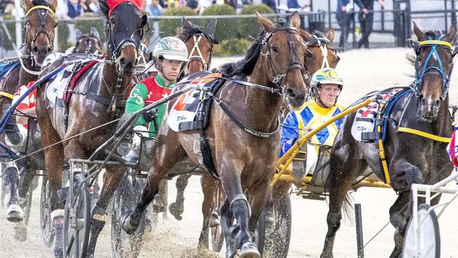 Just Believe will take on emerging star Arcee Phoenix in the Uncle Petrika free-for-all at Melton on Saturday night. Picture: Stuart McCormick