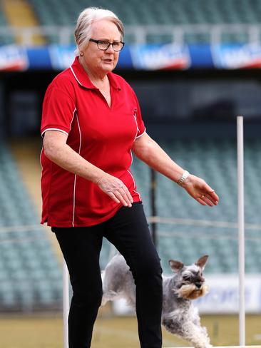 Marj Midson and her dog Daisy during the novice snooker.