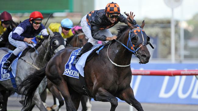 Shocking is the last Cup winner to have raced on Derby Day. Picture: AAP Image