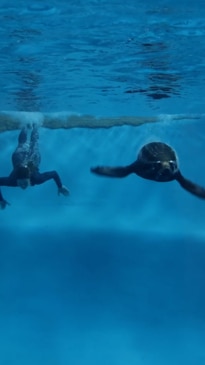 Aussie seals go for gold against humans