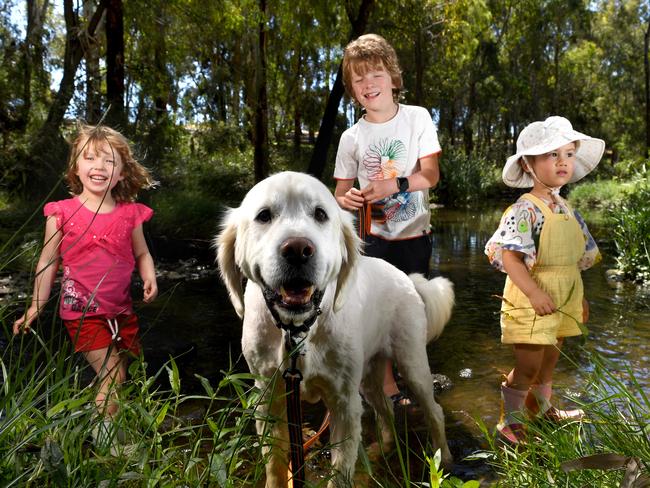 Greener, wilder: Adelaide wins rare National Park City status