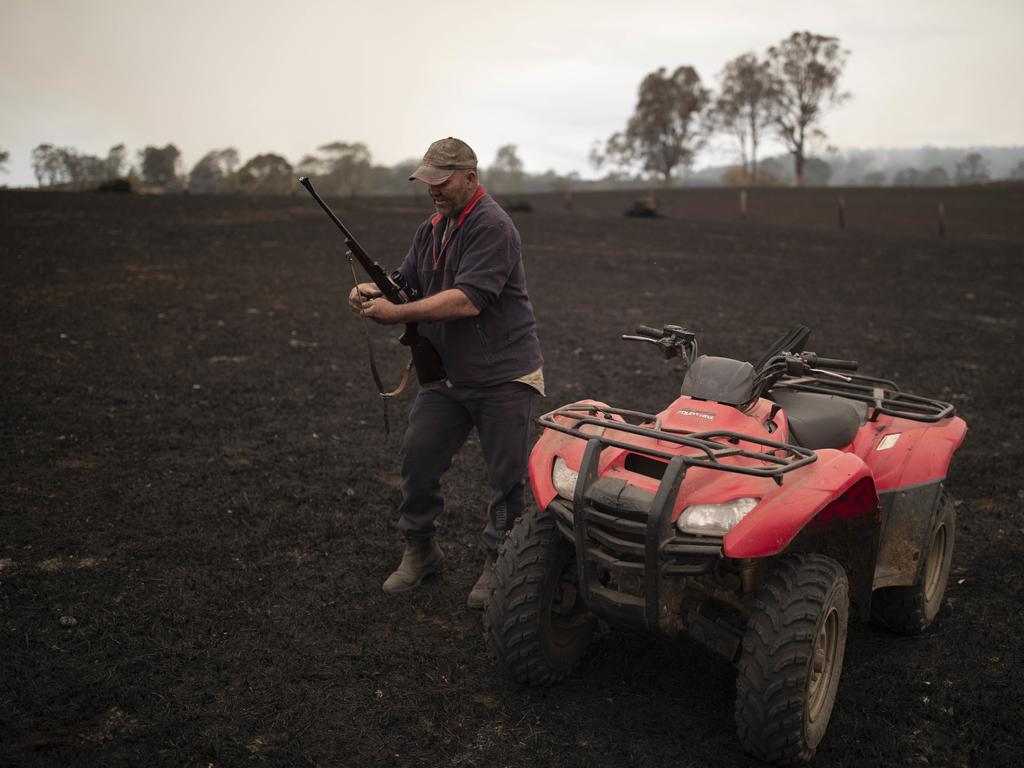 Steve Shipton prepares to shoot an injured calf in his paddock after a bushfire in Coolagolite, NSW. Picture: AAP