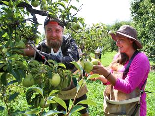 Fruit grower's relief at worker rules