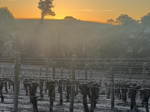 Frost in Gumeracha. Picture: Mell Melek