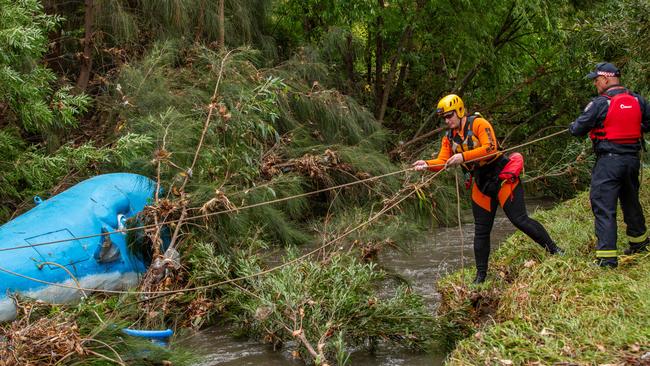 SES working to secure the Brewery Whale found near Thebarton, after floating down the river. Picture: Ben Clark