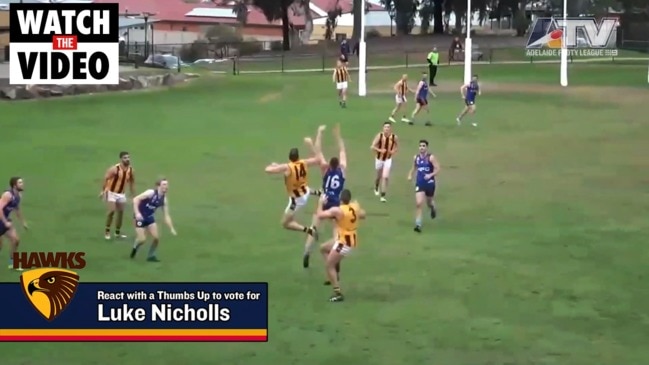 Adelaide Footy League round 18 marks of the week