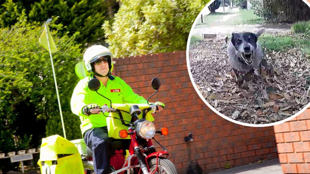 1150 in 6 months: Aussie posties armed to stop dog attacks
