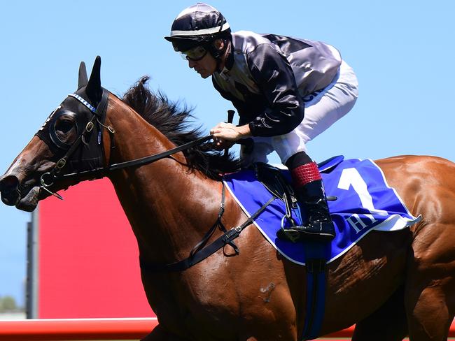 new Magic Millions favourite HOUTZEN (ridden by Jeff Lloyd) Photo: Grant Peters, Trackside Photography