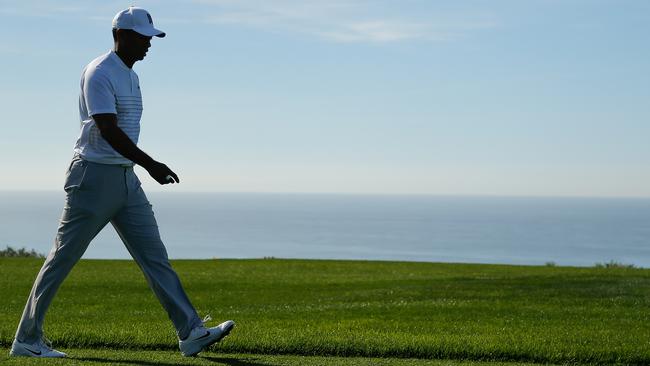 Tiger wasn’t exactly on the prowl at Torrey Pines.