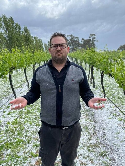 Tenafeate Creek Wines Owner Michael Costa after today’s damage. Picture: Tenafeate Creek Wines