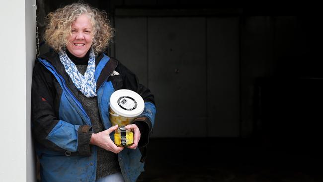 FARM: Meredith Dairy Julie and Sandy Cameron run a goat and sheep's milk dairy, and have been exporting specialty cheeses for 20 years. Picture: ANDY ROGERS