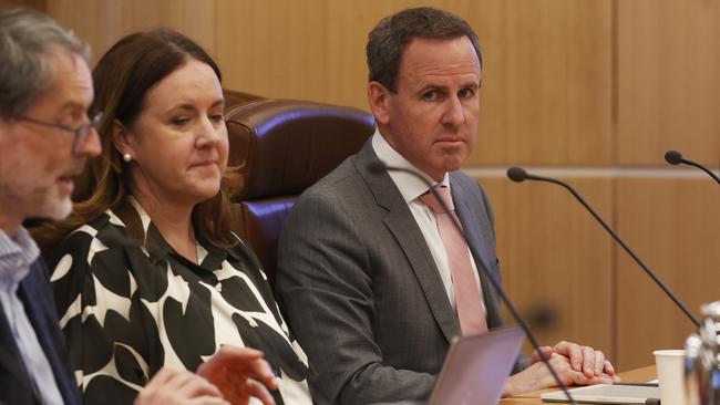 Craig Barling Deputy Vice Chancellor UTAS. UTAS Financial Position inquiry at parliament. Picture: Nikki Davis-Jones