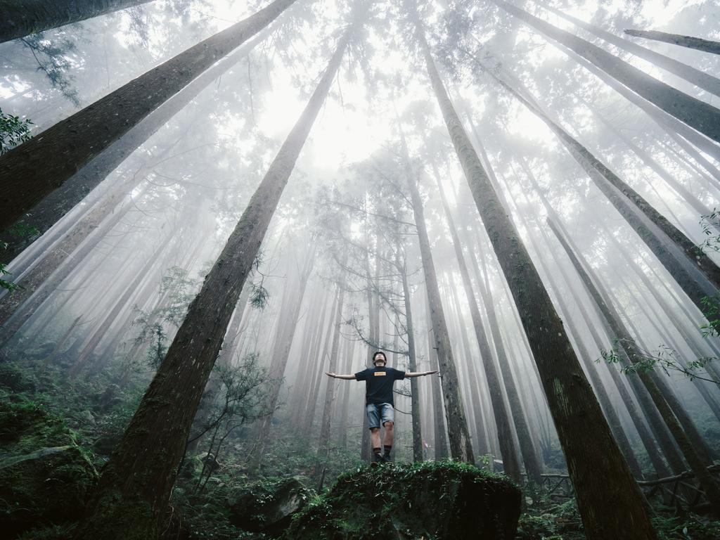 Image Name: Ethereal light. Image Description: Fog and forest and light are gifts of mountains and nature. Copyright: Lanze Haung, 2nd place, Taiwan National Award, 2018. Picture: Sony World Photography Awards/ Lanze Haung