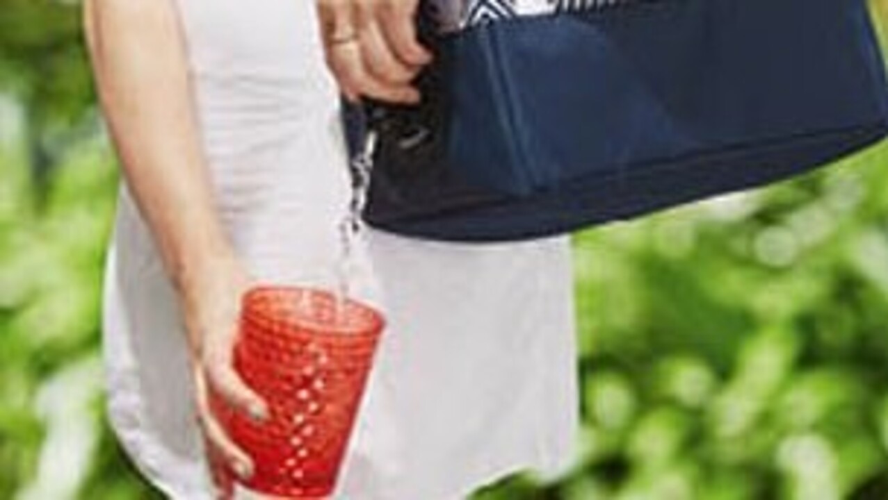 Wine cooler bag online aldi