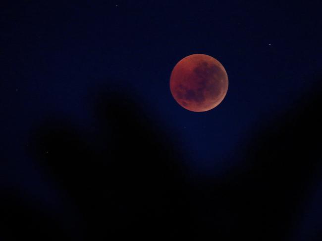 Lunar Eclipse as seen from Chelsea in Melbourne, Victoria. Picture: Michael Klein