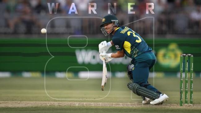 David Warner goes bang in brave T20 knock