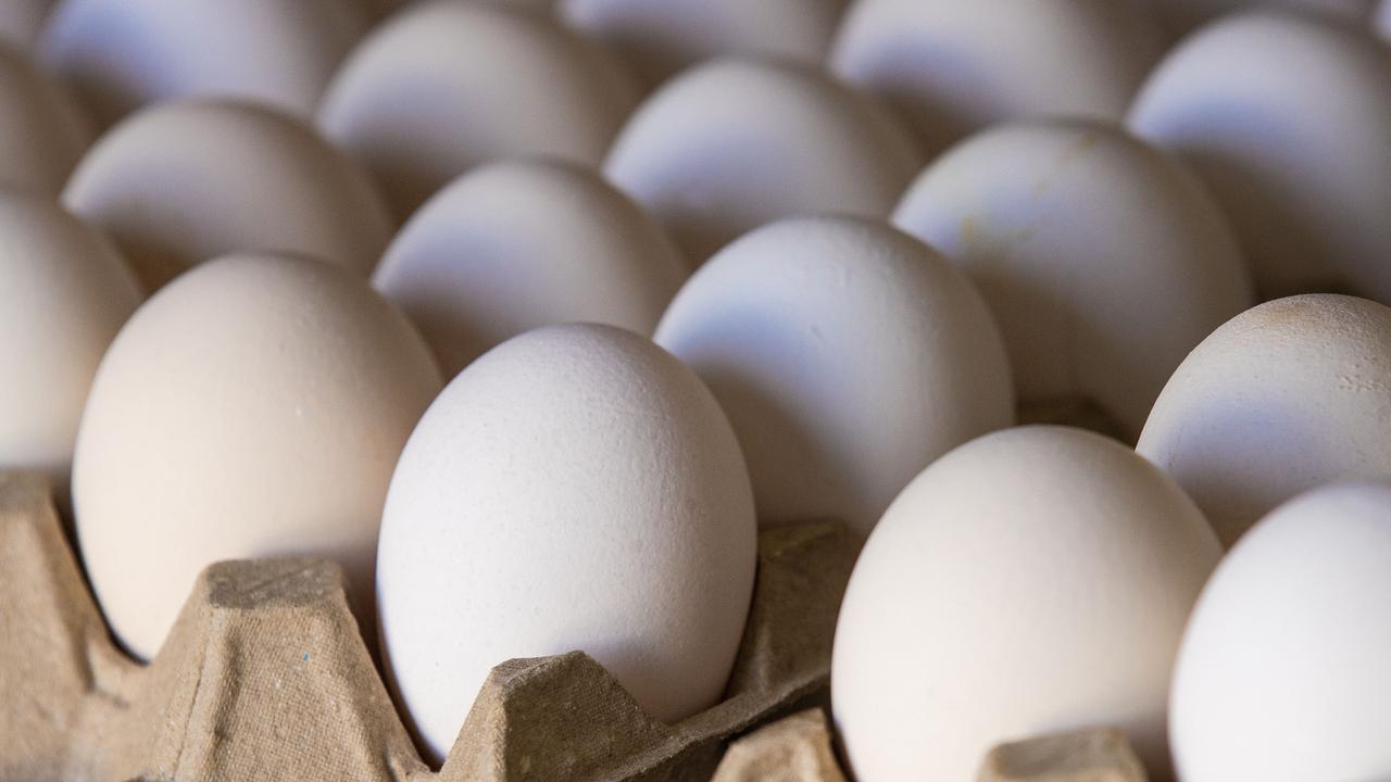 CQ’s largest egg farm to expand despite neighbour concerns