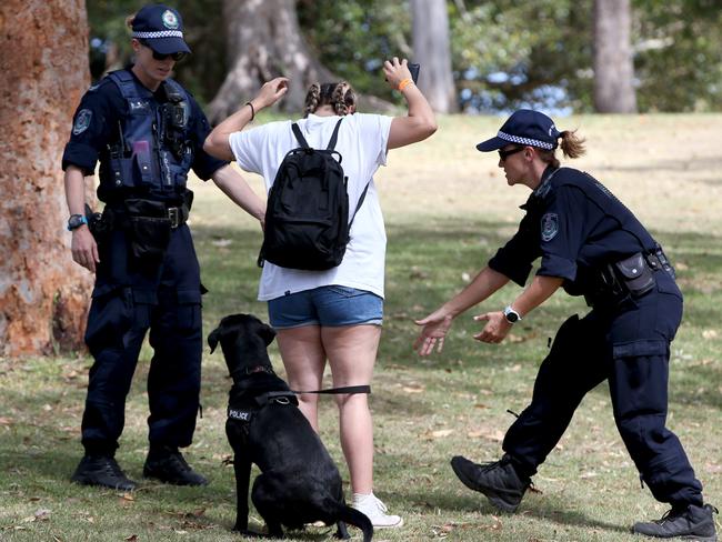 Police with sniffer dogs search festivalgoers at the Harbourlife Festival. Picture: Damian Shaw