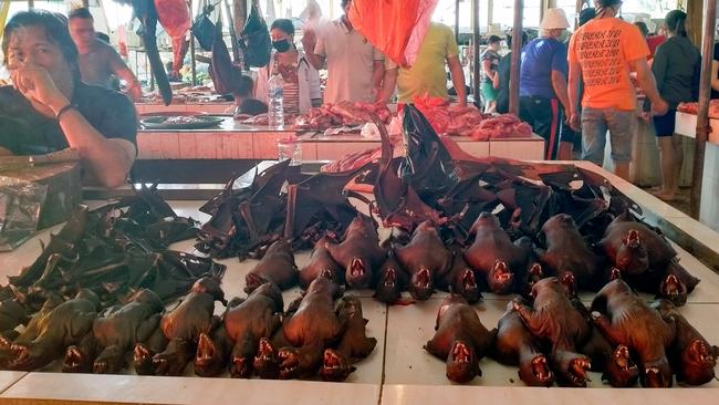 The Australian revealed last week the Tomohon market was continuing to sell bats, alongside dogs and pigs, forest rats, pythons and other wildlife. Picture: Agung Maupa