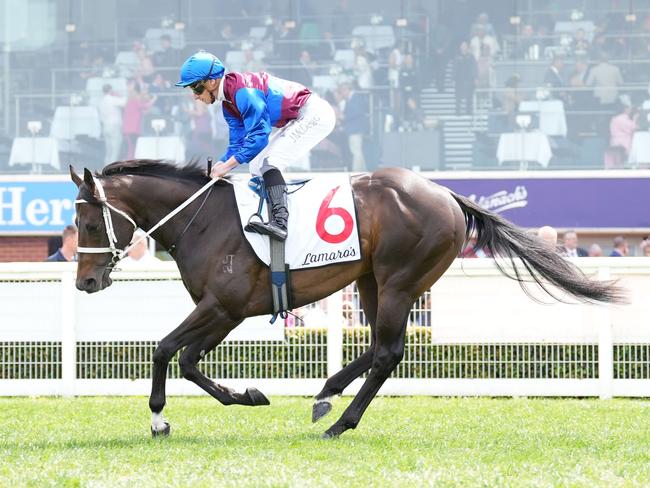 Kandinsky Abstract on the way to the barriers prior to the running of the Lamaro's Hotel Plate  at Caulfield Racecourse on October 21, 2023 in Caulfield, Australia. (Photo by Scott Barbour/Racing Photos via Getty Images)