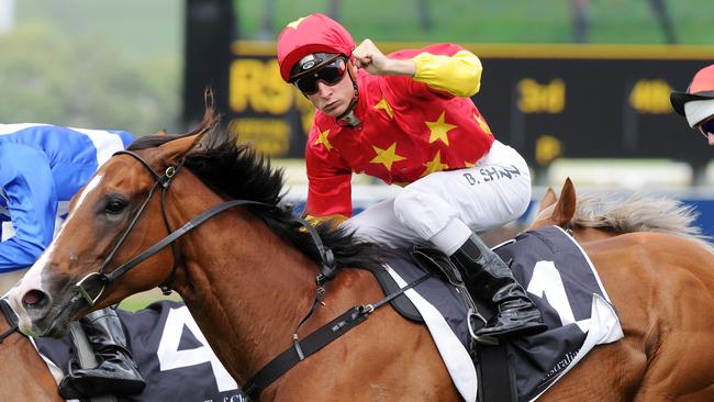 Top mare First Seal will trial at Randwick on Monday. Picture: Simon Bullard