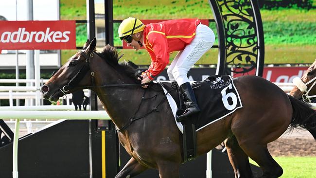 Tony Gollan faces a nervous wait to find out whether Transatlantic has made next Saturday's Group 1 Stradbroke Handicap field after his win in the Spear Chief Handicap at Eagle Farm. Picture: Grant Peters, Trackside Photography.