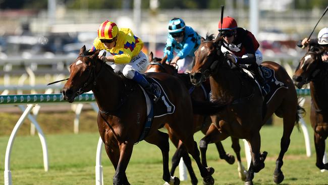 The early punters have crunched Vega One. Picture: AAP