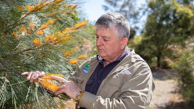 CREEC Community Nursery manager Warwick Hill. Picture: Dominika Lis