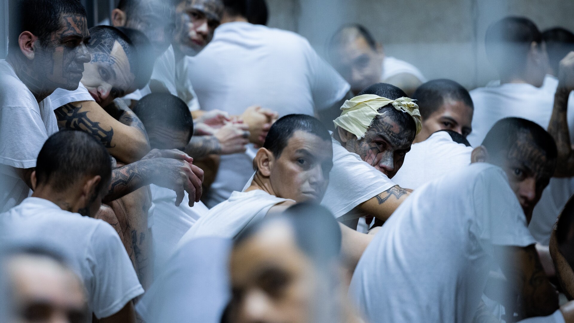 Donald Trump invokes Alien Enemies Act to combat Venezuelan gang Tren De Aragua attacks