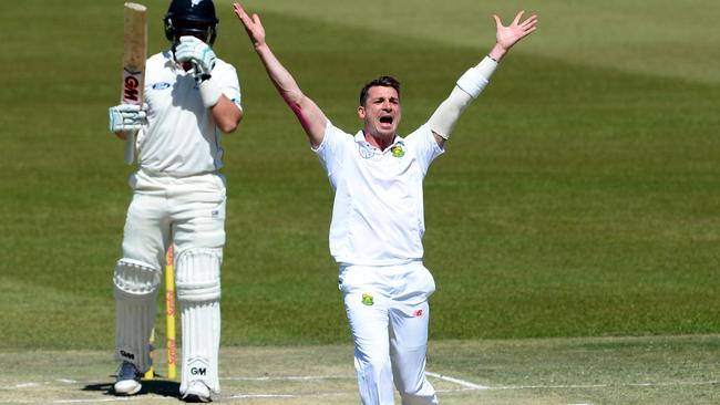 Dale Steyn appeals after hitting Ross Taylor in front of the stumps.