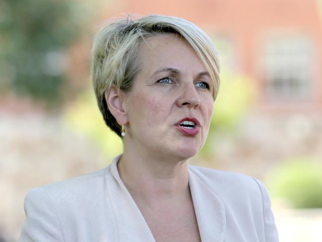 Acting Leader of the Opposition Tanya Plibersek has vowed Labor will prevent universities from admitting low-scoring high school graduates into teaching degrees. Picture: AAP/Kelly Barnes