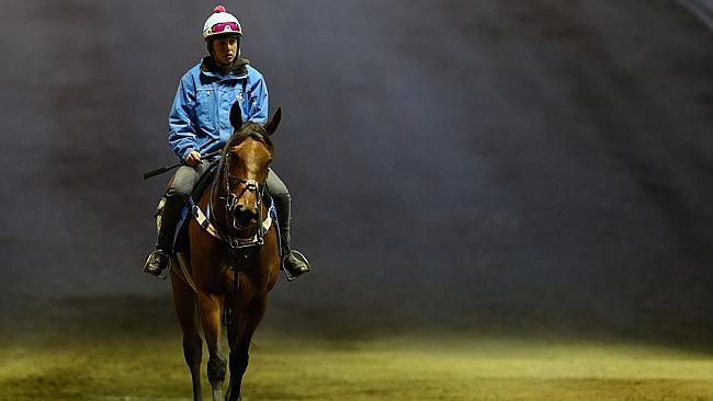 Brooke Pender rides Super Cool, who will wear the No. 13 saddlecloth in the Melbourne Cup and jump from barrier 13. It is the ye