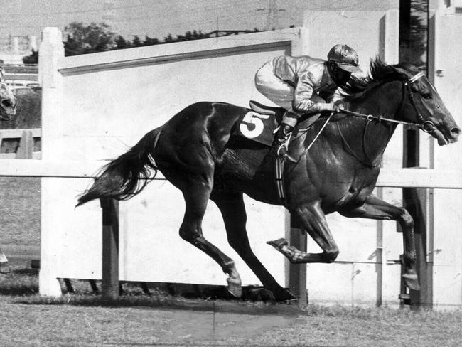 Vain wins the 1969 George Adams Handicap, this year known as Kennedy Mile.