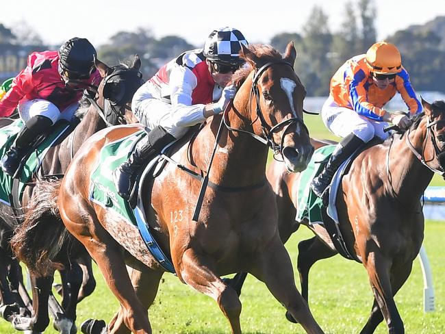 Little Miss Kubi ridden by Blake Shinn wins the Evergreen Turf Handicap at Sportsbet Sandown Hillside Racecourse on May 15, 2024 in Springvale, Australia. (Photo by Pat Scala/Racing Photos via Getty Images)