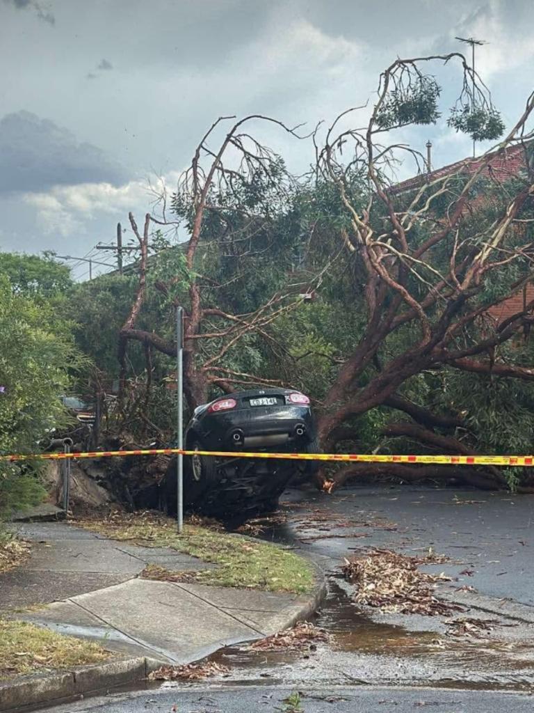 The NSW SES said they are responding to calls after the storm.