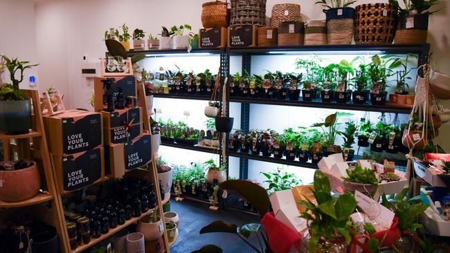 Centreway Arcade's newest tenant, Plant Envy. Picture: Alex Treacy