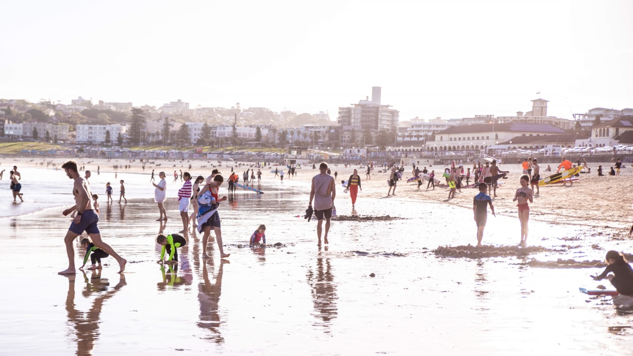 ‘Parking and infrastructure’ budgets should give beachgoers free parking