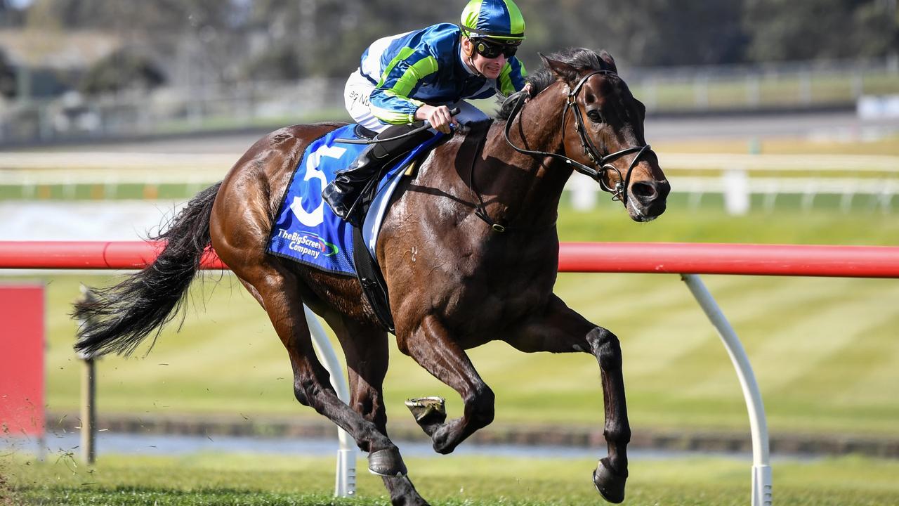 Ciaron Maher and David Eustace on the verge of having four Melbourne