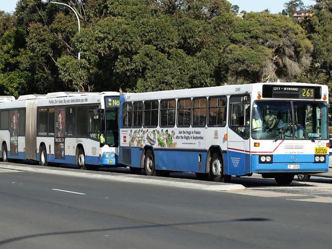 Mrs Turnbull is concerned at the growing amount of abuse she is seeing on buses. Picture: Braden Fastier